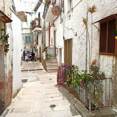 Amazing Gargano *