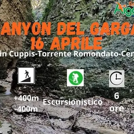 Amazing Gargano